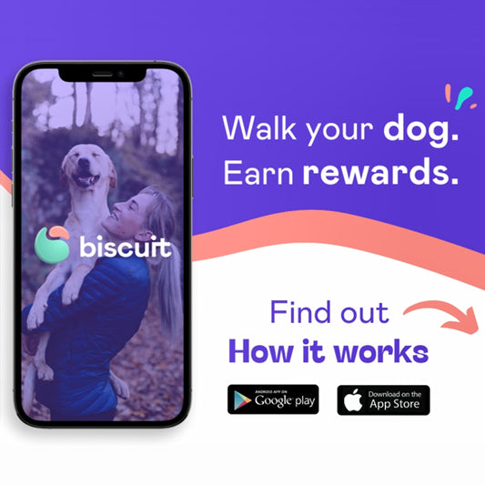 Make Fetch Happen, with Biscuit