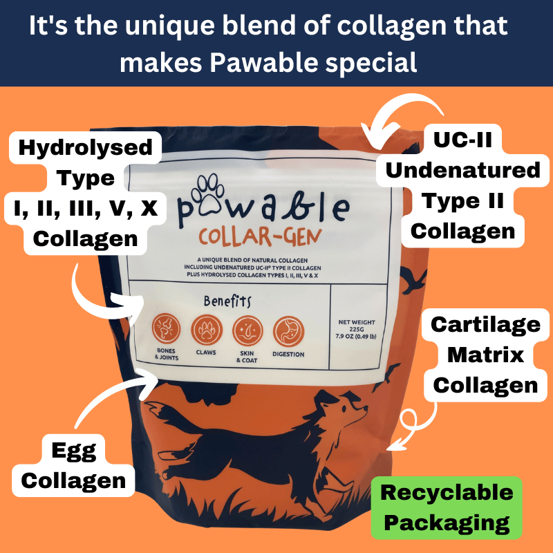 Pawable Collagen for Dogs packet showing blend of multiple hydrolysed collagens and UC-II undenatured type II collagen.